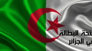 حقيقة رفع منحة البطالة إلى 18 ألف دينار جزائري وزيادة السن إلى 50 عام