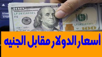 الأخضر بكام.. سعر الدولار مقابل الجنيه المصري اليوم السبت 2/3/2024 في البنوك المصرية