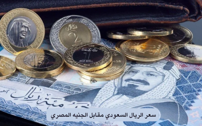 اعرف هتغير بكام| سعر الريال السعودي مقابل الجنيه المصري والعملات الأخرى اليوم