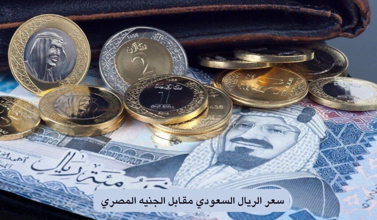 تابع لحظة بلحظة.. سعر الريال السعودي مقابل الجنيه المصري والدولار الأمريكي اليوم