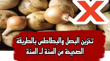 تخزين البصل والبطاطس بالطريقة الصحيحة من السنة لـ السنة.. اسرار محدش هيقولك عليها تحميه من الحر