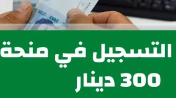 شروط وخطوات التسجيل في منحة 300 دينار تونس لمحدودي الدخل