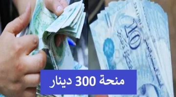 كيفية التسجيل في منحة 300 دينار تونس 2024 وشروط الحصول عليها