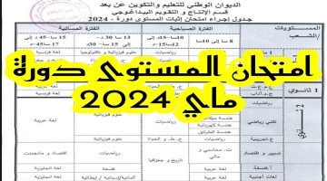 “سجل الان “وزير التربية الوطنية يعطي إشارة انطلاق عقد امتحان إثبات المستوى بالجزائر 2024