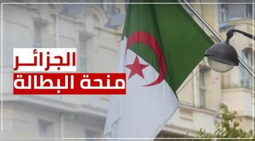 الآن خطوات ورابط تجديد منحة البطالة في الجزائر 2024 عبر الوكالة الوطنية للتشغيل