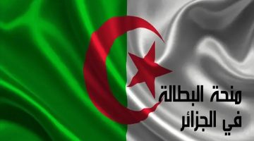 خطوات تجديد منحة البطالة في الجزائر 2024 والشروط اللازمة