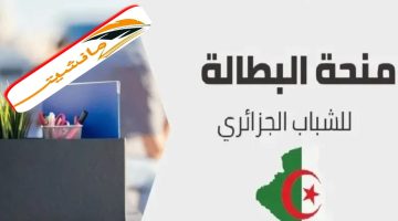 “جددها الآن”رابط تجديد منحة البطالة في الجزائر 2024 عبر موقع الوكالة الوطنية للتشغيل