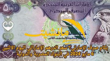 بكام صرف الإمارتي؟ سعر الدرهم الإماراتي اليوم الاثنين 6 مايو 2024 في البنوك المصرية والدولية