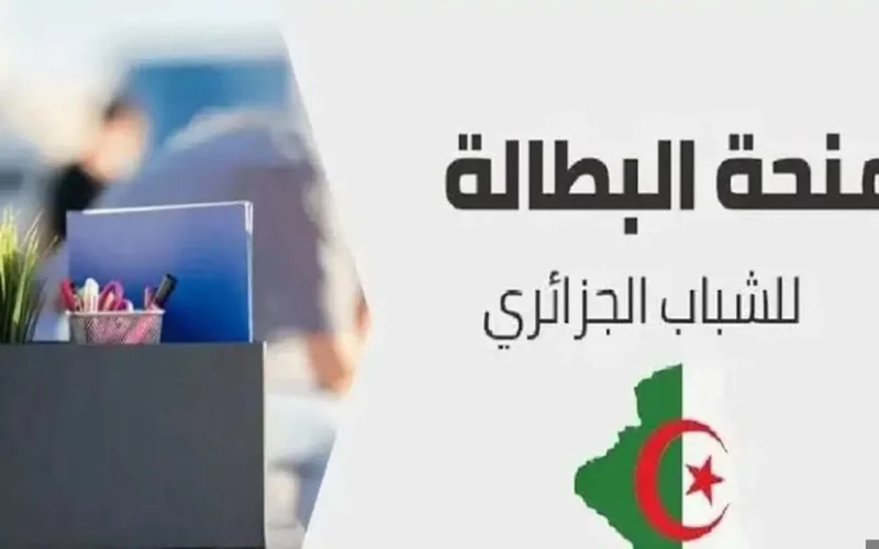 تجديد منحة البطالة 2024 في الجزائر إلكترونيًا عبر الوكالة الوطنية للتشغيل بالخطوات