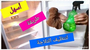 “هترجع جديدة” طريقة تنظيف الثلاجة والتخلص من الروائح الكريهة 