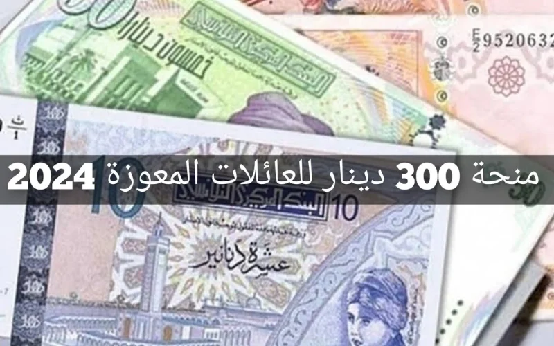 “فرصة قدم فورا”.. طريقة التسجيل في منحة 300 دينار تونس 2024 عبر موقع وزارة الشؤون الاجتماعية بالشروط والأوراق المطلوبة