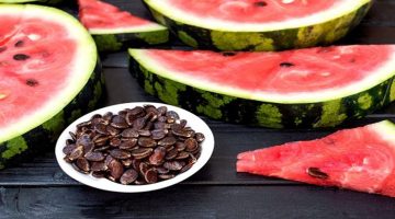“صحتك على كف لب البطيخ” فوائد مذهلة للجسم عند تناولك لب البطيخ في فصل الصيف من أهمها 6 فوائد