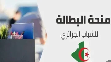 خطوات تجديد منحة البطالة كل 6 أشهر في الجزائر عبر الوكالة الوطنية للتشغيل 2024