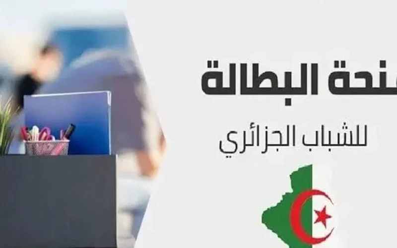 خطوات تجديد منحة البطالة كل 6 أشهر في الجزائر عبر الوكالة الوطنية للتشغيل 2024