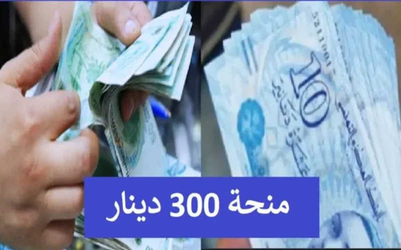 الآن متاح التسجيل في منحة العاطلين والمتعثرين في تونس 2024 للحصول على 300 دينار تونسي