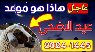 “فلكياً وبشكل رسمي” موعد وقفة عرفات وإجازة عيد الأضحى المبارك في مصر 2024
