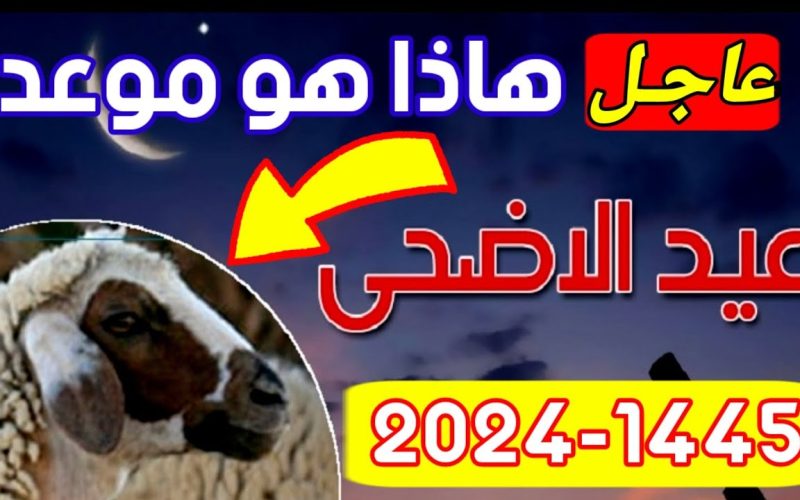 “فلكياً وبشكل رسمي” موعد وقفة عرفات وإجازة عيد الأضحى المبارك في مصر 2024